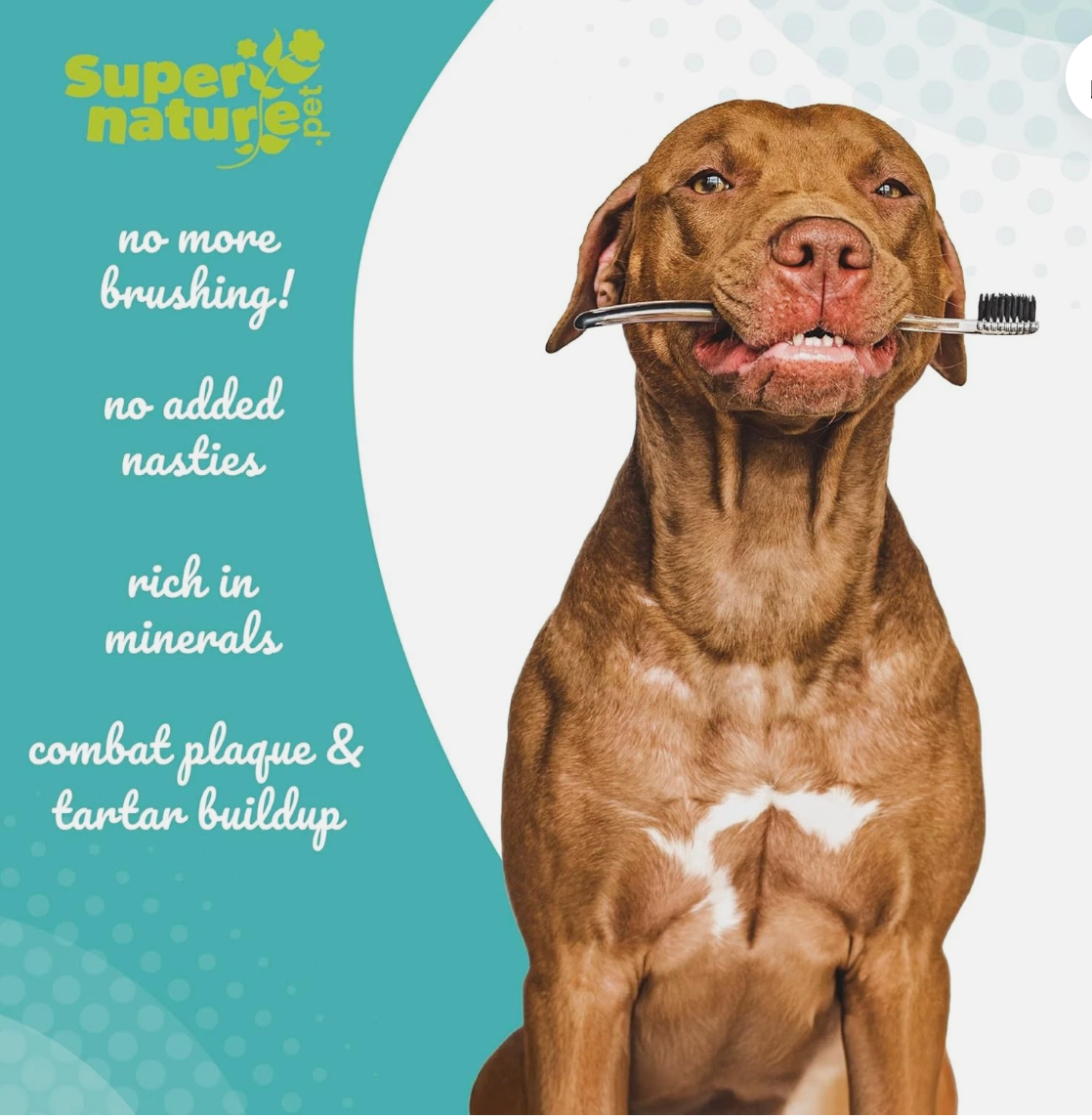Supernature Plaque Remover for Dogs 60g | 100% Natural Dental Care, Reduces Plaque