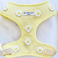 Buttercup Pup Adjustable Neck HARNESS,LEAD,COLLAR,POO BAG ,BOW TIE