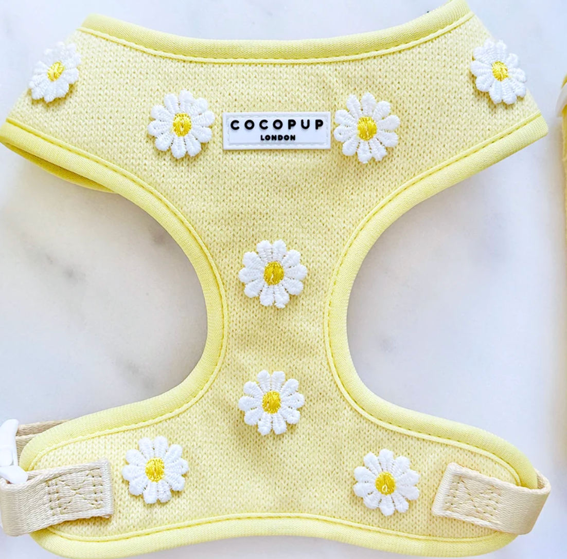Buttercup Pup Adjustable Neck HARNESS,LEAD,COLLAR,POO BAG ,BOW TIE
