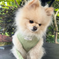 COCOPUP Sage Heart Adjustable Neck HARNESS S