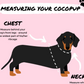 COCOPUP NAKD Adjustable Neck Harness set