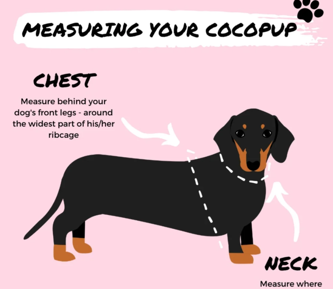 COCOPUP NAKD Adjustable Neck Harness set