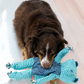 KONG Floppy Knots Hippo Jumbo XL-perfect for large puppies and dogs