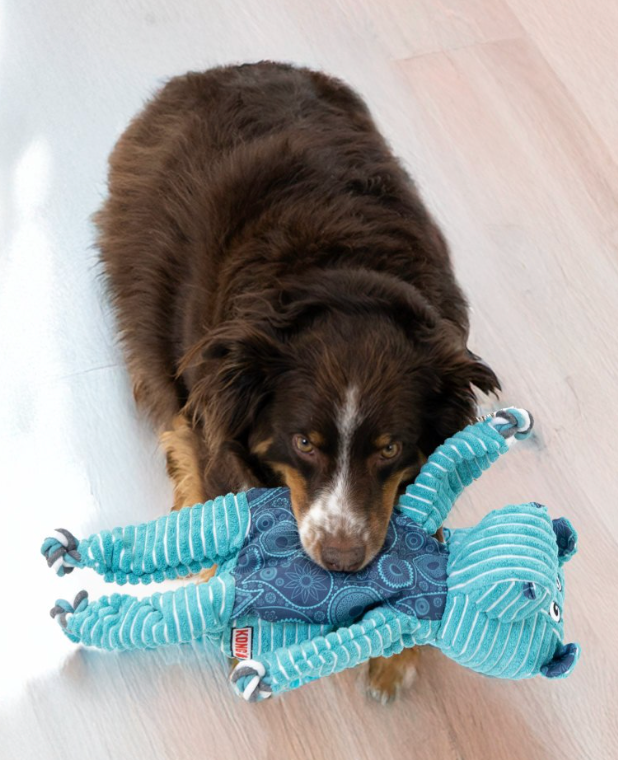 KONG Floppy Knots Hippo Jumbo XL-perfect for large puppies and dogs