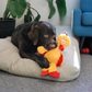 KONG Knots Chicken Dog Toy – Internal Knotted