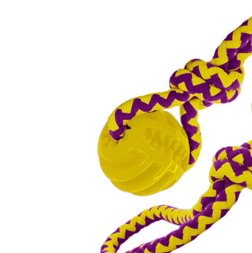 TUFFS Dog Life Chase and treat Ball in two different colours