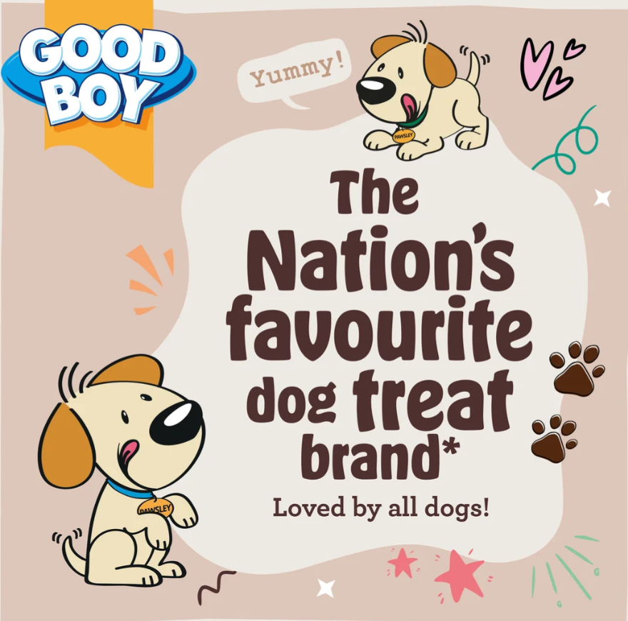 Good Boy Space Lobber Dog Toy