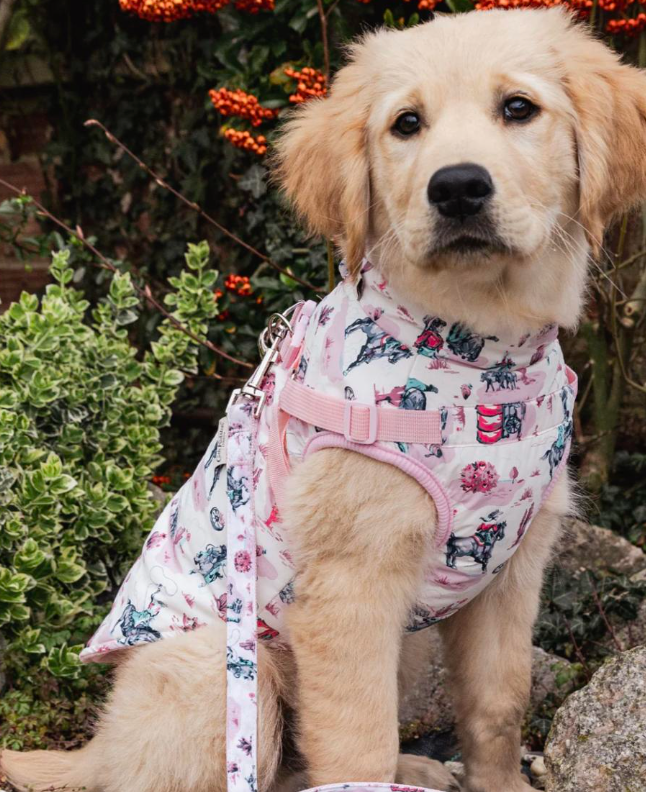Cath Kidston Cowgirl Dog Coat with Harness