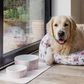 Cath Kidston Cowgirl Collection for feeding , sleeping and playing pure pink luxury