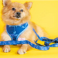 CATH KIDSTON - Flora fauna harness for dogs and puppies