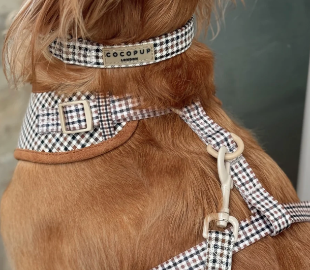 Cocopup Heritage Check Adjustable Neck Harness and Accessories