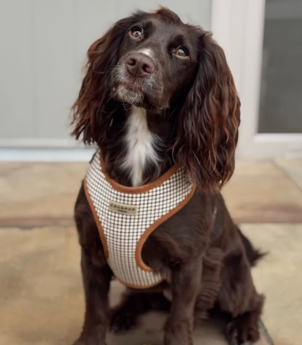 Cocopup Heritage Check Adjustable Neck Harness and Accessories