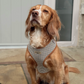 Cocopup Heritage Check Adjustable Neck Harness and Accessories