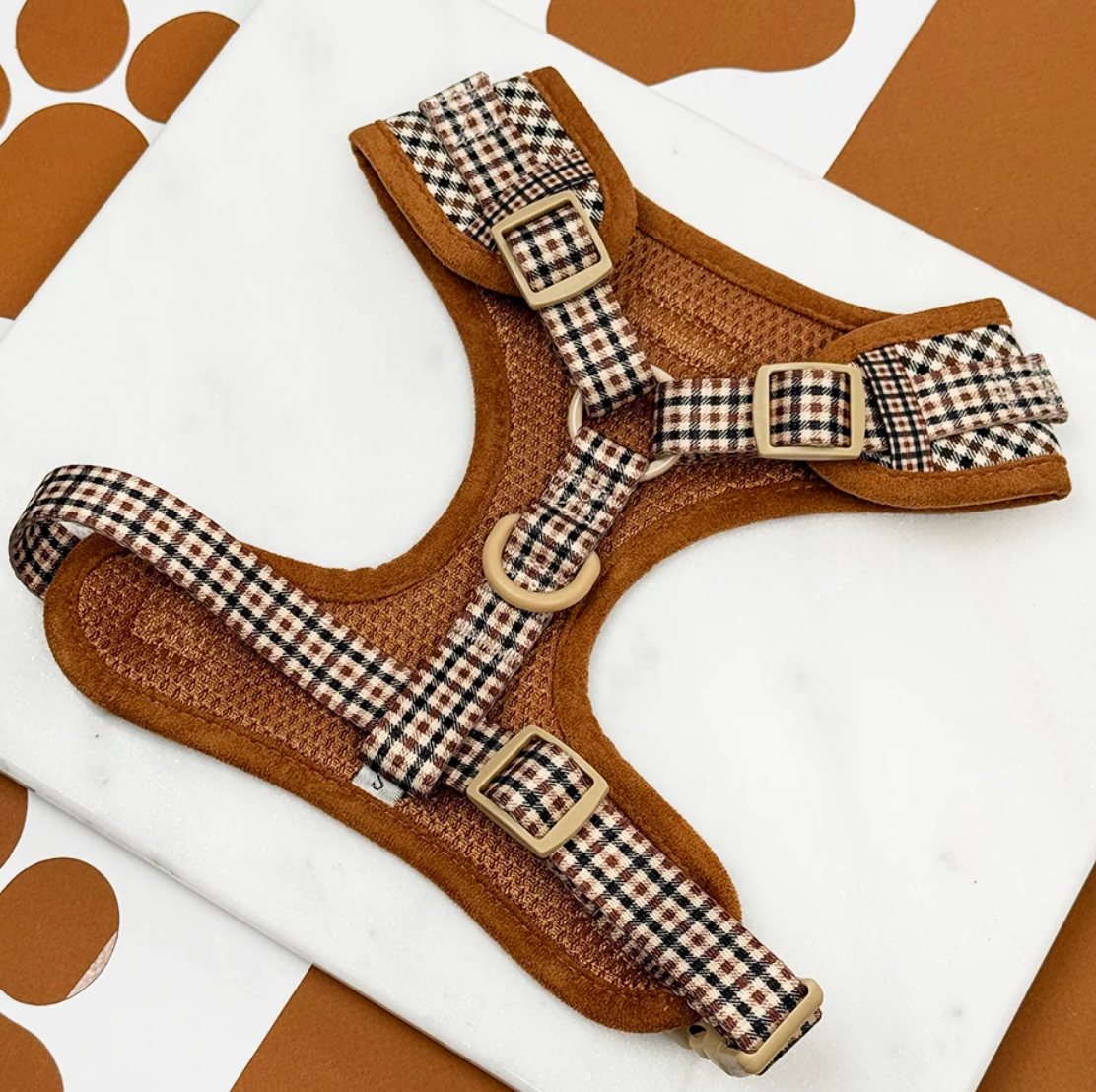 Cocopup Heritage Check Adjustable Neck Harness and Accessories