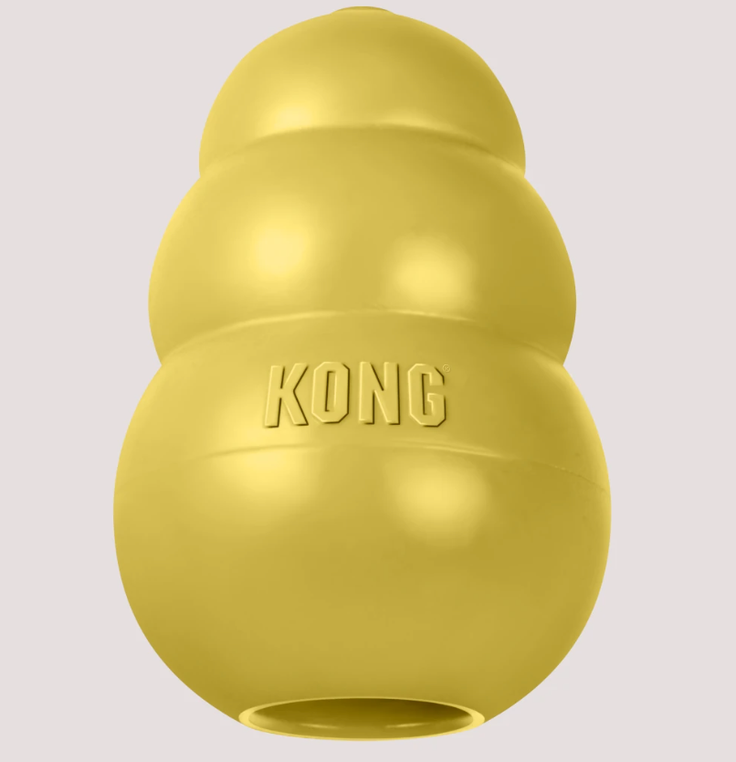 Kong Classic Limited Edition Gold in Medium and Snacks