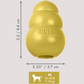 Kong Classic Limited Edition Gold in Medium and Snacks