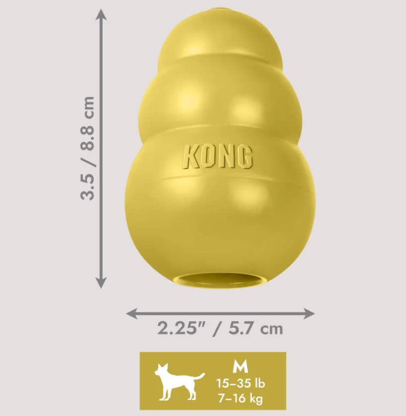 Kong Classic Limited Edition Gold in Medium and Snacks