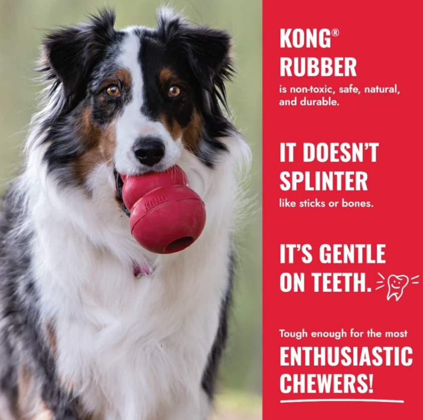 Kong Classic Limited Edition Gold in Medium and Snacks