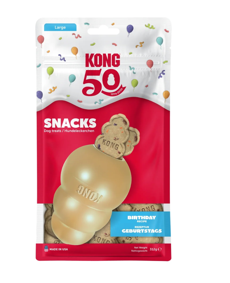 Kong Classic Limited Edition Gold in Medium and Snacks