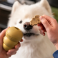 Kong Classic Limited Edition Gold in Medium and Snacks