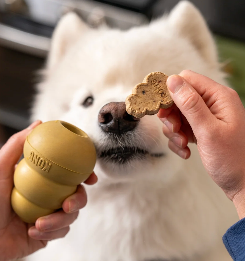 Kong Classic Limited Edition Gold in Medium and Snacks
