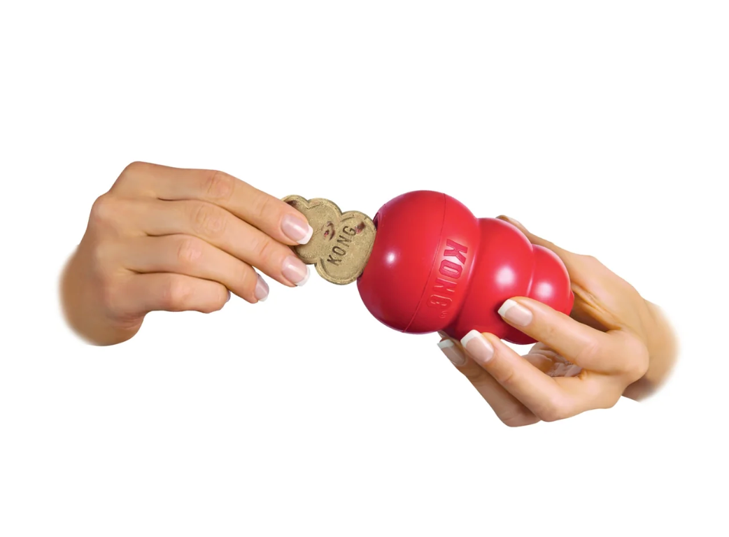 Kong Classic Limited Edition Gold in Medium and Snacks