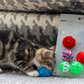Petface Christmas Cat and Kitten Balls in two different sized packs