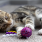Petface Christmas Cat and Kitten Balls in two different sized packs