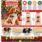 Happy Pet Reindeer Bobble Christmas Dog Sweater 🦌 Festive Knitted Jumper