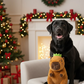 Happy Pet Corby Capybara Plush Dog Toy