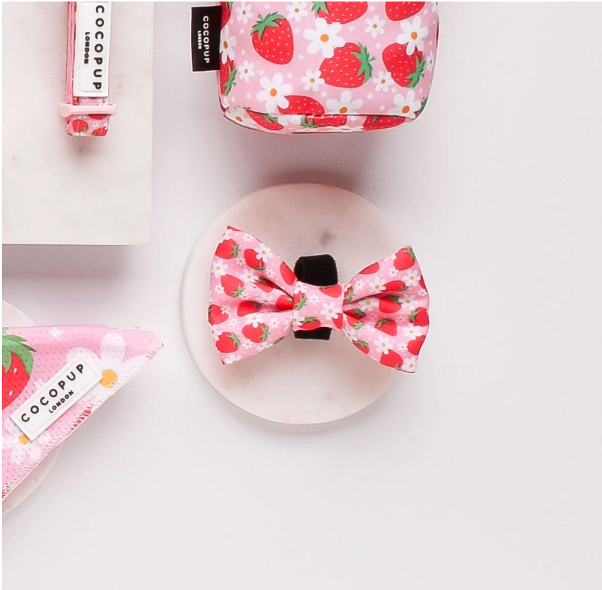 COCOPUP Pupberry Fields Bow Tie