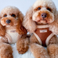 COCOPUP Brown Aviator Adjustable Neck HARNESS SET