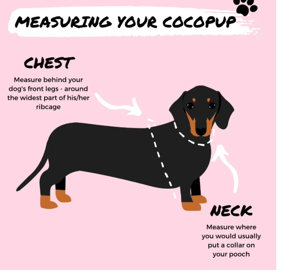 COCOPUP Brown Aviator Adjustable Neck HARNESS SET