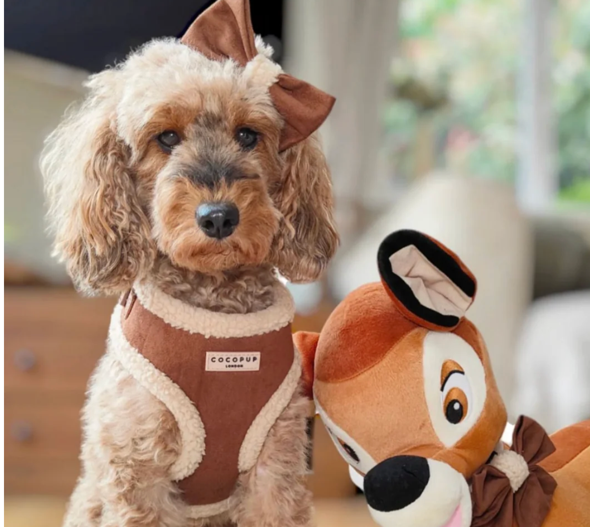 COCOPUP Brown Aviator Adjustable Neck HARNESS SET