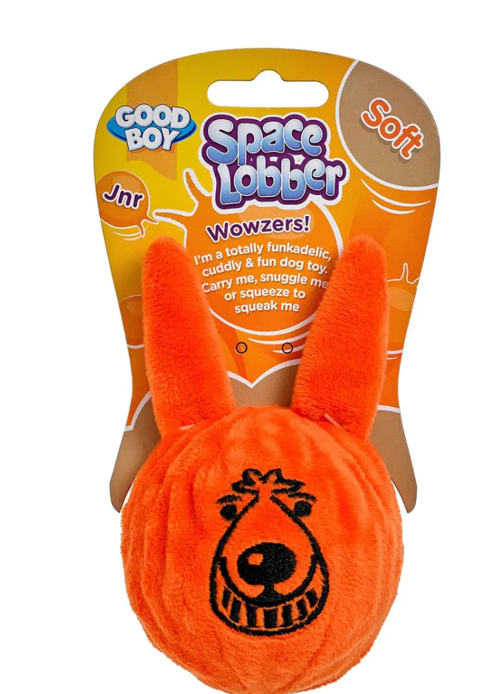 Good Boy Space Lobber Dog Toy