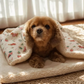 Cath Kidston Cosy Pet Blanket - wth two exciting colours to choose from.