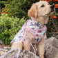 Cath Kidston Cowgirl Dog Coat with Harness
