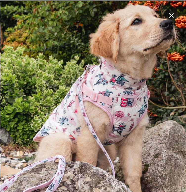 Cath Kidston Cowgirl Dog Coat with Harness