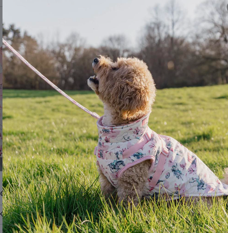 Cath Kidston Cowgirl Dog Coat with Harness