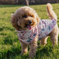 Cath Kidston Cowgirl Dog Coat with Harness