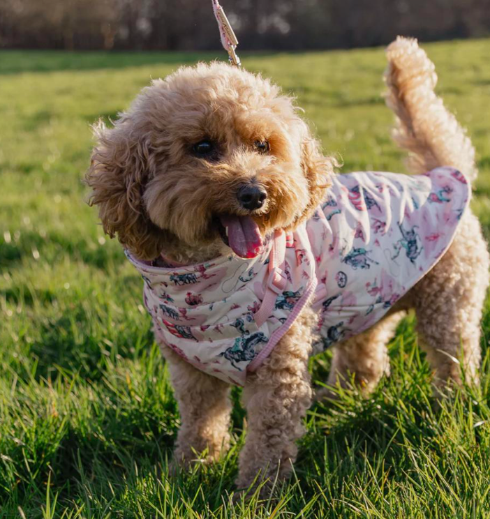 Cath Kidston Cowgirl Dog Coat with Harness