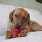 KONG Easy Treat Dog Treats