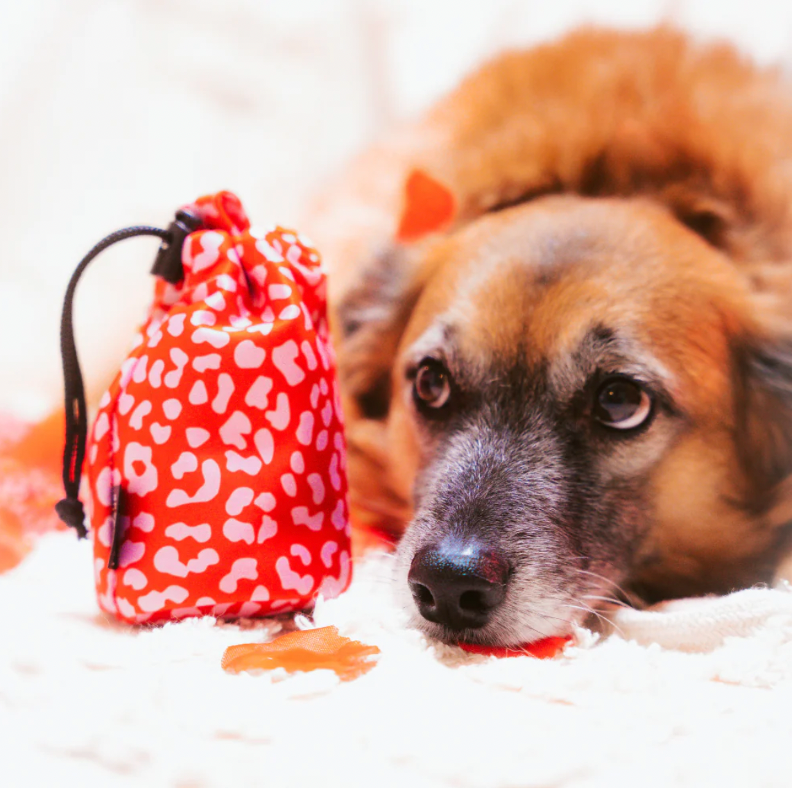 Drawstring Treat Pouch - Red & Pink Leopard